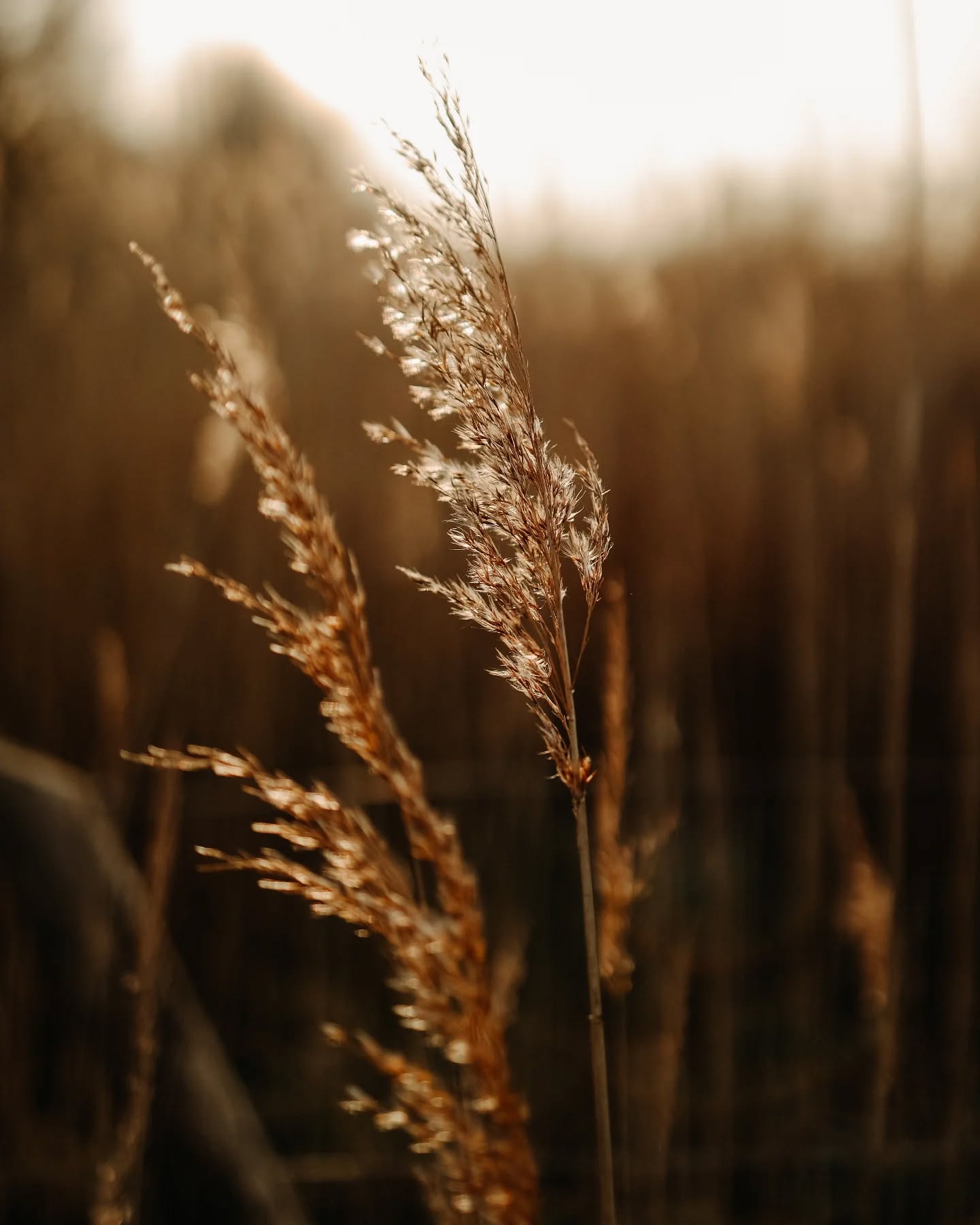 Parfois, il ne faut rien de plus.